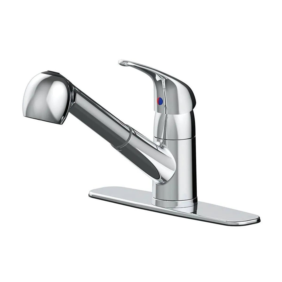 Raleigh KitchenPull-Out Faucet