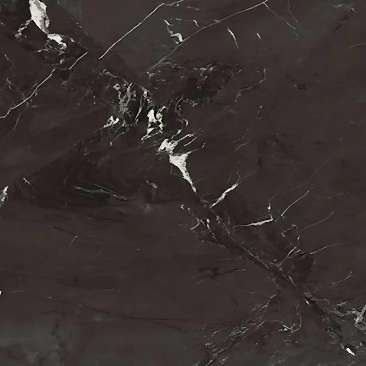 Nero Reale 33x33 Polished Tile FALSE In store location-set published-all-channels