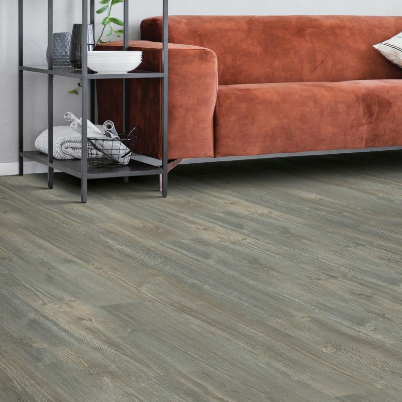 IVC SPC - Bedford Chance