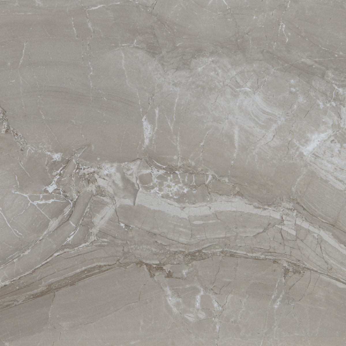 Daltile Famed Fortune porcelain tile