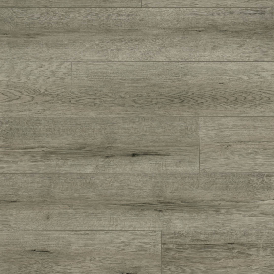 Audacity Antarctic Laminate