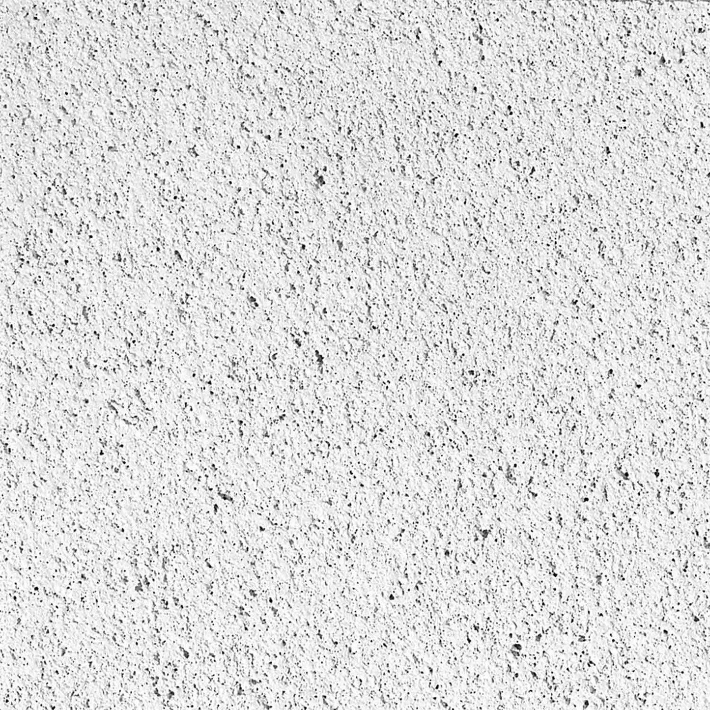 CGC R414 2 'x 2' Ceiling Tile