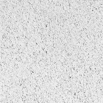 CGC R414 2 'x 2' Ceiling Tile