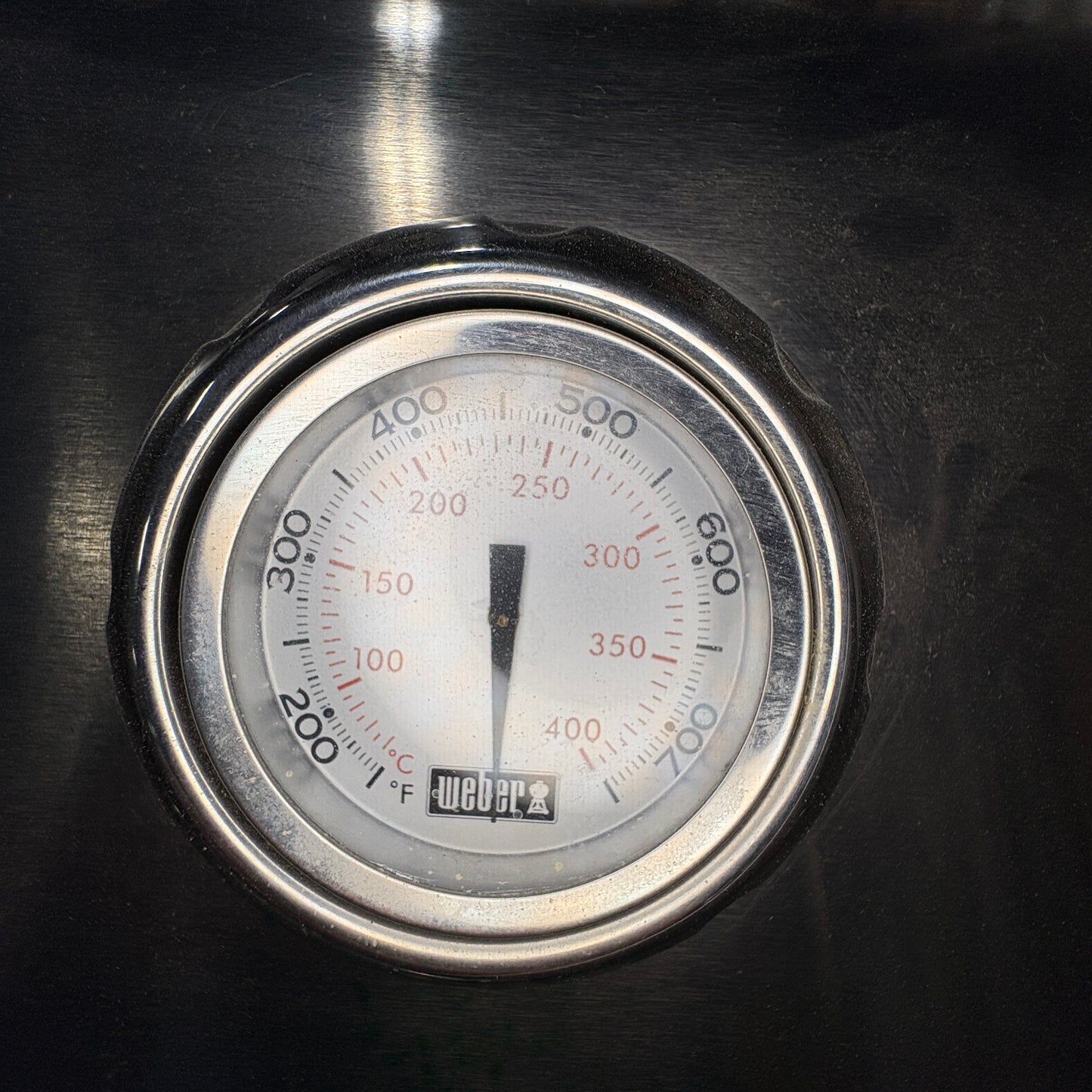Weber Stainless Gas Grill