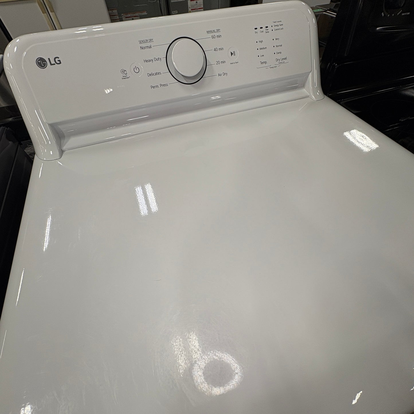 LG White Electric Dryer FALSE