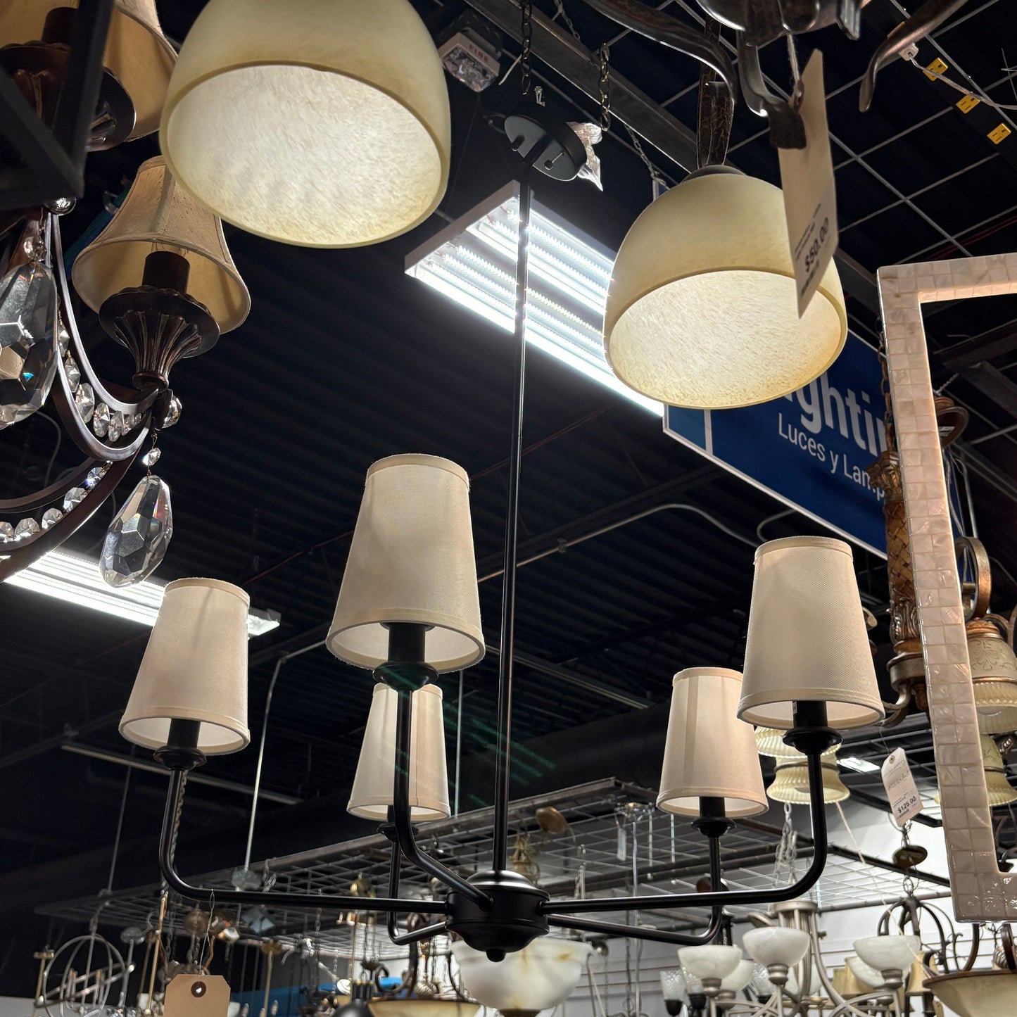Six-Light Black Chandelier with Cream Tapered Shades - detail 2