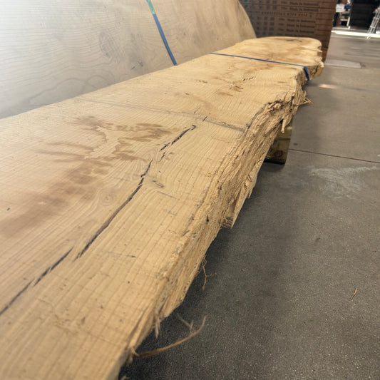 148" Ash Live Edge Slab