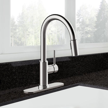 Kitchen Pull Down Faucet