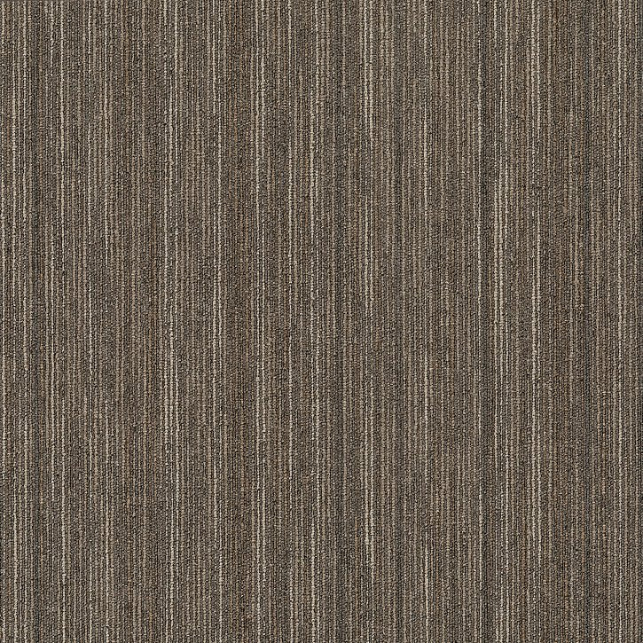 Shaw Carpet Tile Intellect