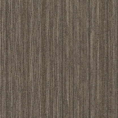 Shaw Carpet Tile Intellect location-set