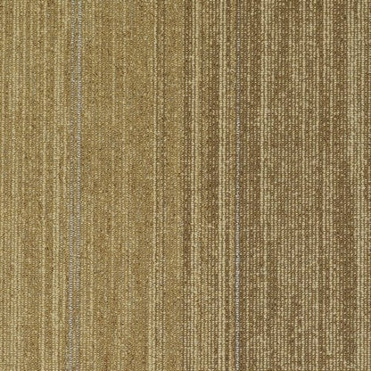 Shaw Carpet Tile Amber Gold location-set