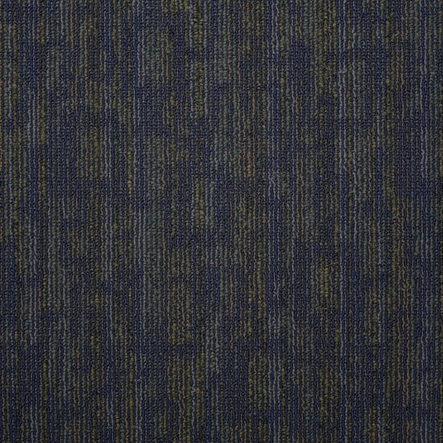 Shaw Carpet Tile Hook Up Blue