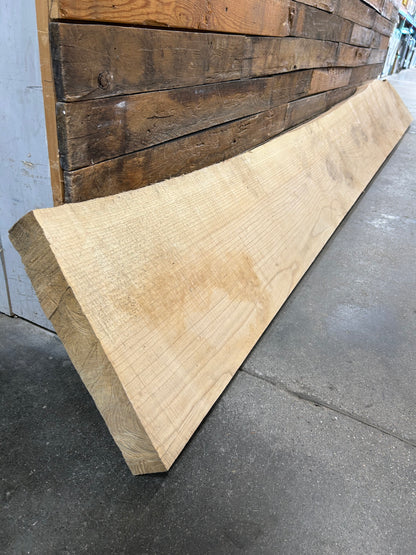 146" Ash Live Edge Slab