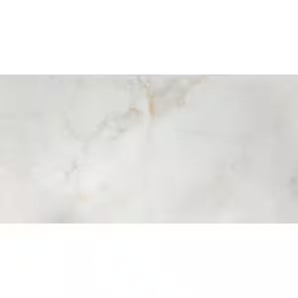 I617 -Polished Porcelain Tile FALSE