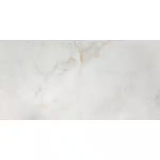 I617 -Polished Porcelain Tile FALSE