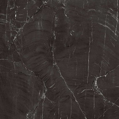 Nero Reale 33x33 Polished Tile FALSE location-set