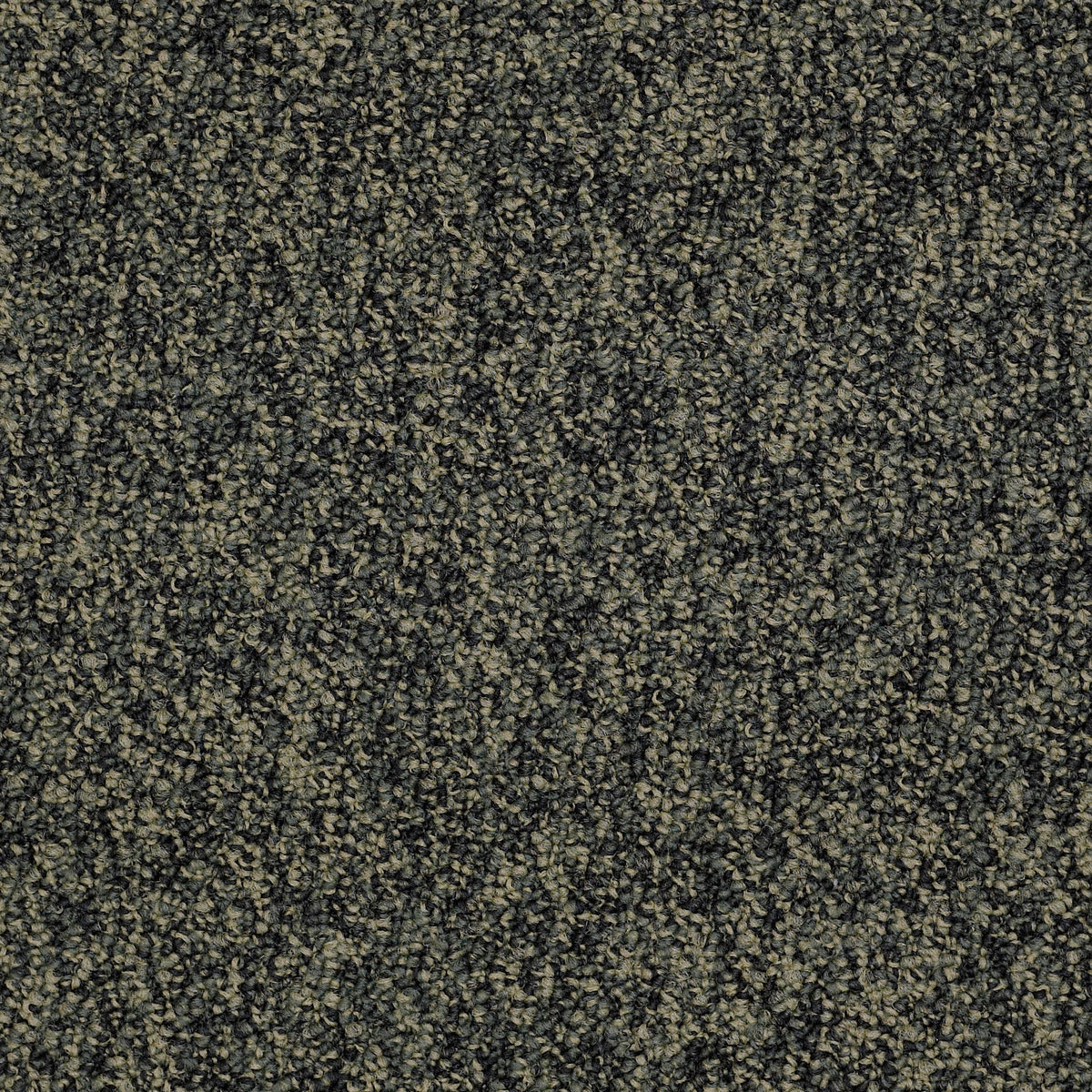 Shaw Carpet Tile Hold The Line In store location-set published-all-channels