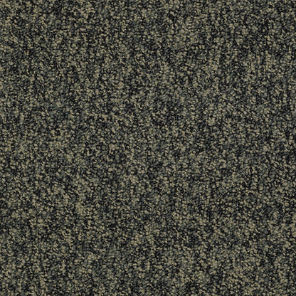 Shaw Carpet Tile Hold The Line In store location-set published-all-channels