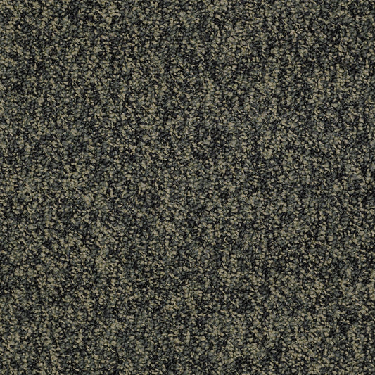 Shaw Sound Advice carpet tile in Hold The Line