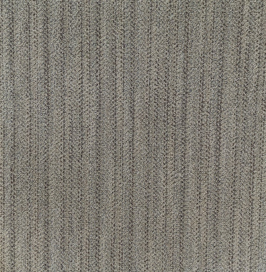 Shaw Etch carpet tile in Clairvoyance