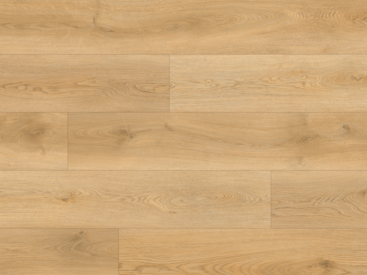 Rock Solid Pro XL Oak Ridge FALSE location-set