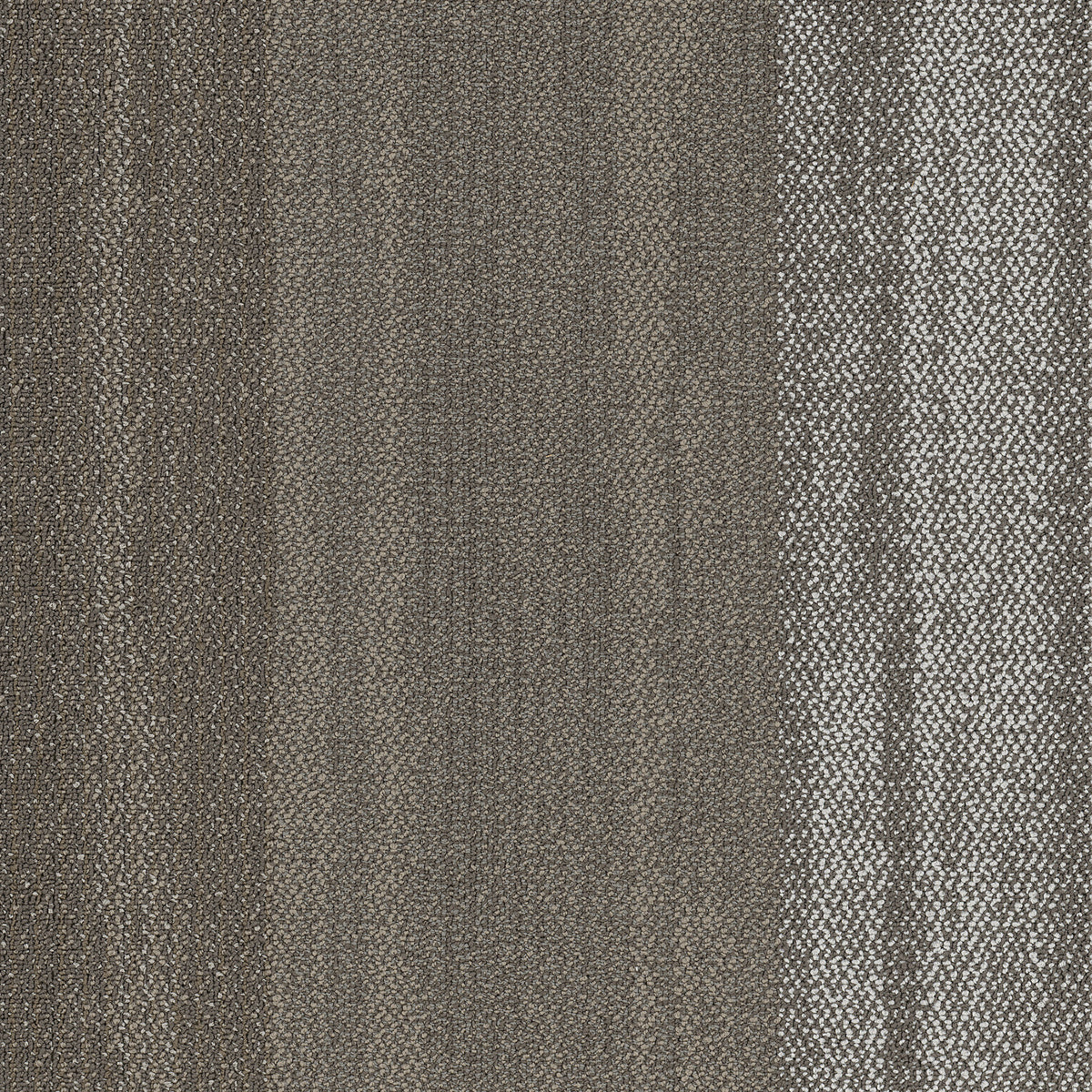 Shaw Sea Edge carpet tile in Village Cloud