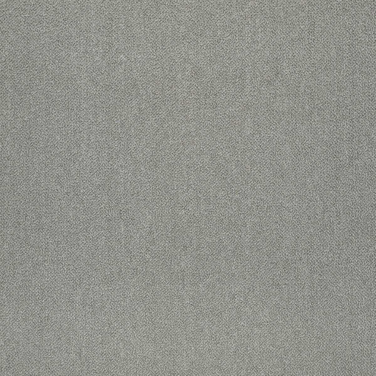 Shaw Counterpart carpet tile in Correlate