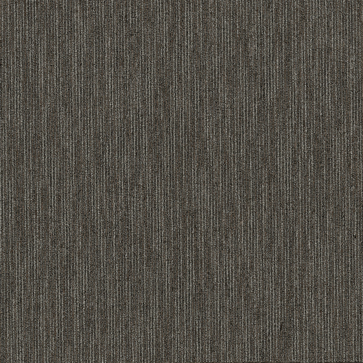 Patcraft Skill carpet tile in Aptitude
