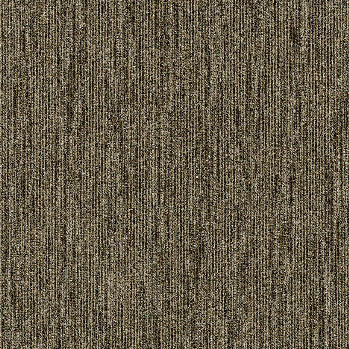Patcraft Skill carpet tile in Expertise
