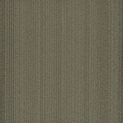 Shaw Practical carpet tile in Effective