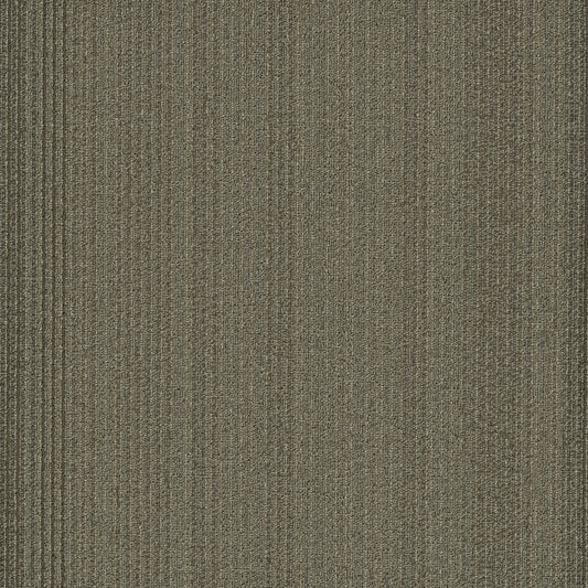 Shaw Practical carpet tile in Effective