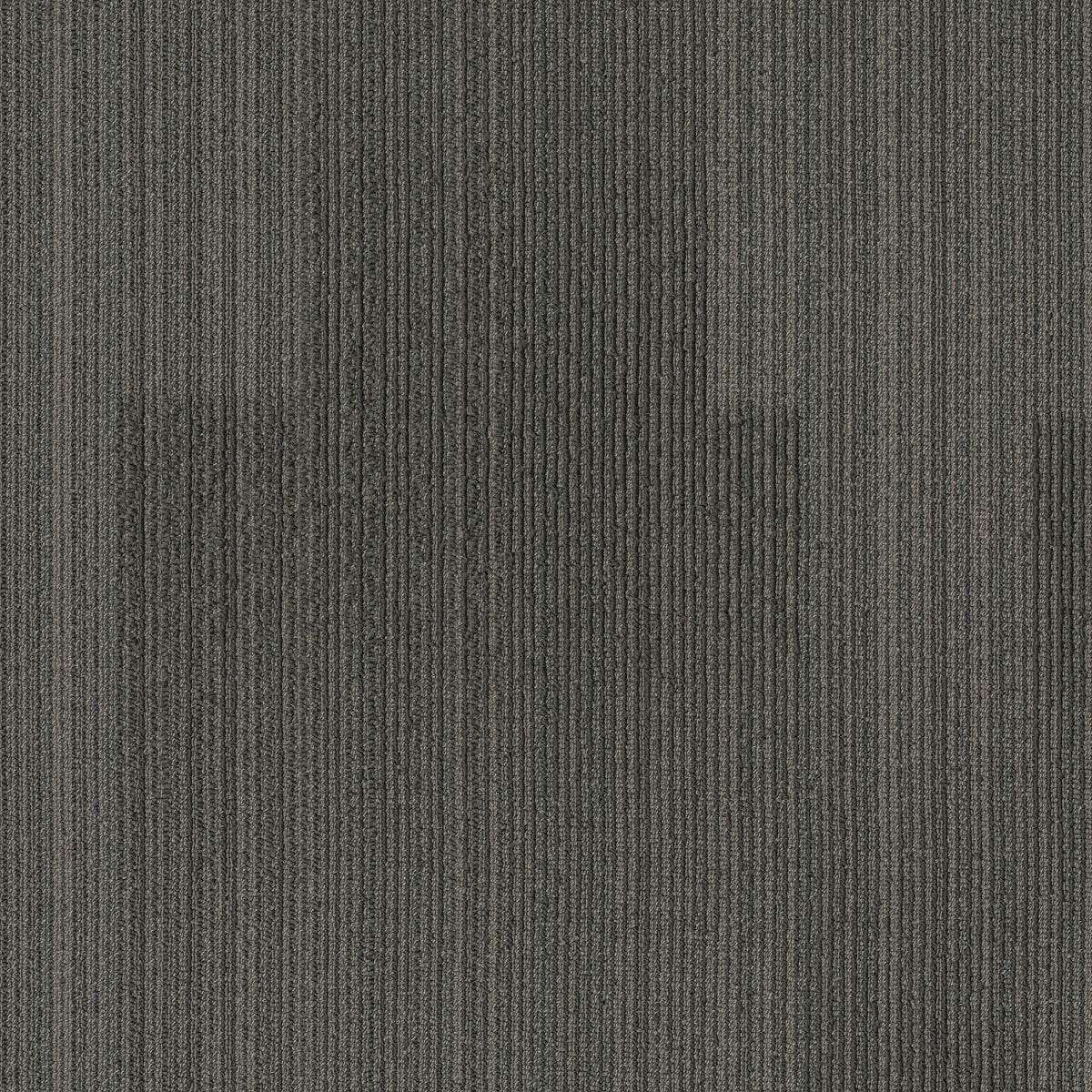 Shaw Carpet Tile Pleasant In store location-set