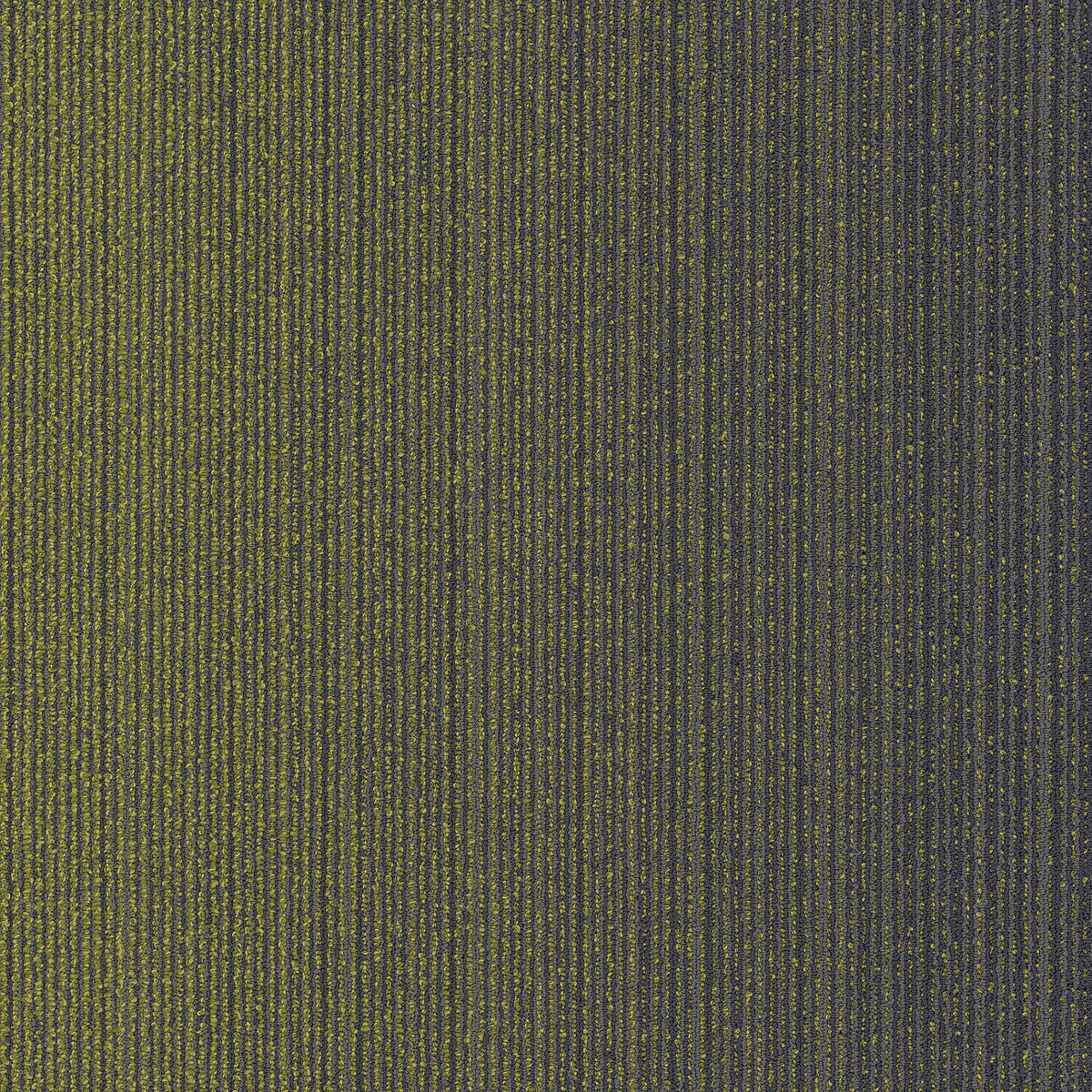 Shaw Carpet Tile Pear In store location-set published-all-channels
