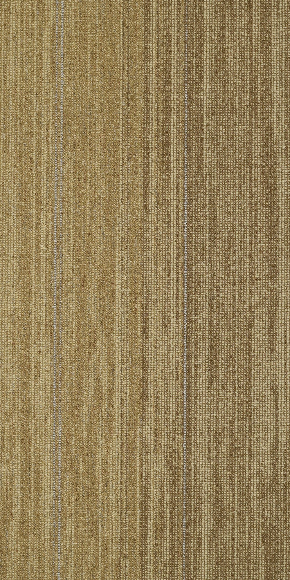Shaw Carpet Tile Amber Gold In store location-set published-all-channels