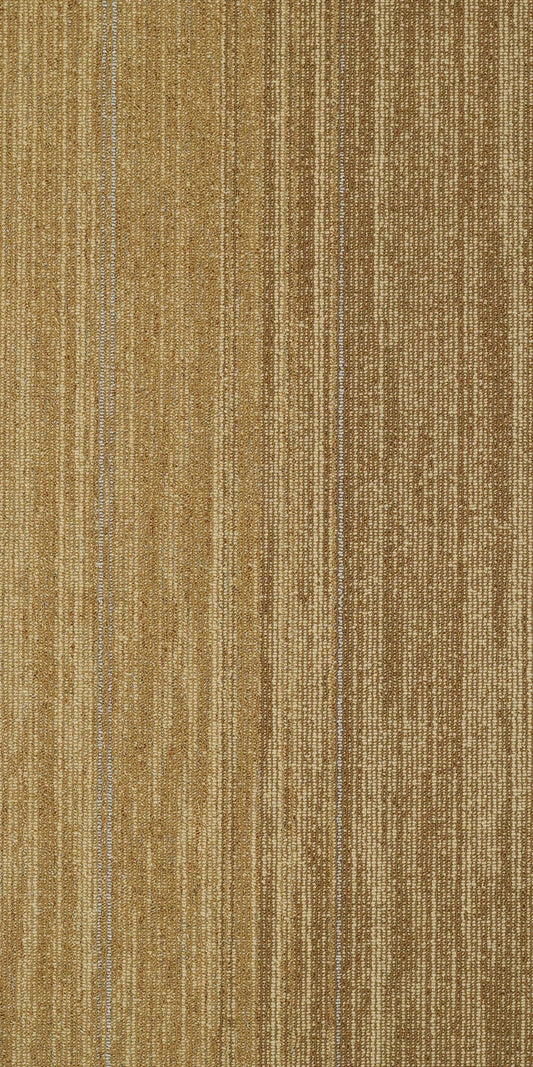 Shaw Agate 18x36 carpet tile in Amber