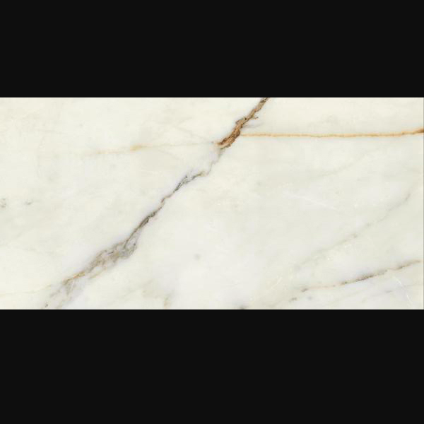 Calacatta Oro 12x24 Tile.
