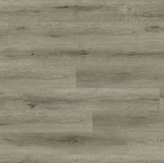 Audacity Antarctic Laminate