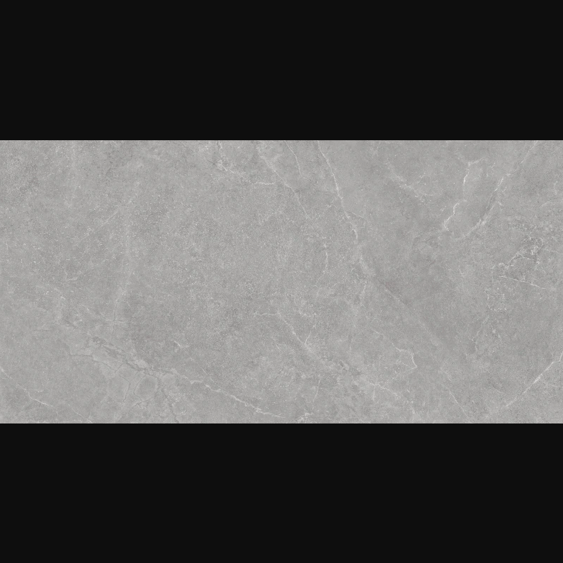 Natural Silver 12x24