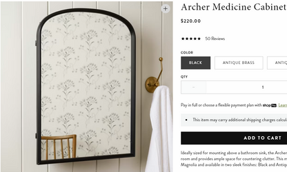 Archer Medicine Cabinet