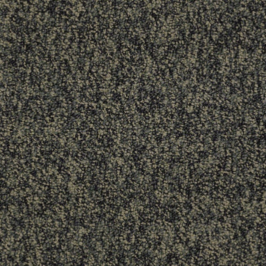 Shaw Carpet Tile Hold The Line FALSE