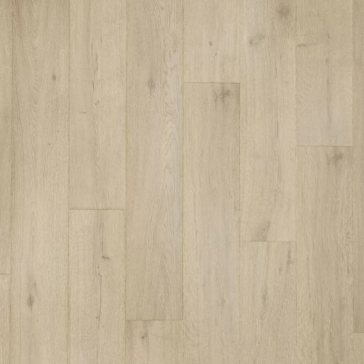 Terrace Oak Laminate