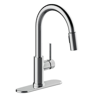 Kitchen Pull Down Faucet