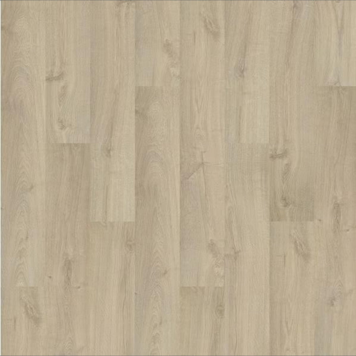 Blanched Oak Hybrid Resilient