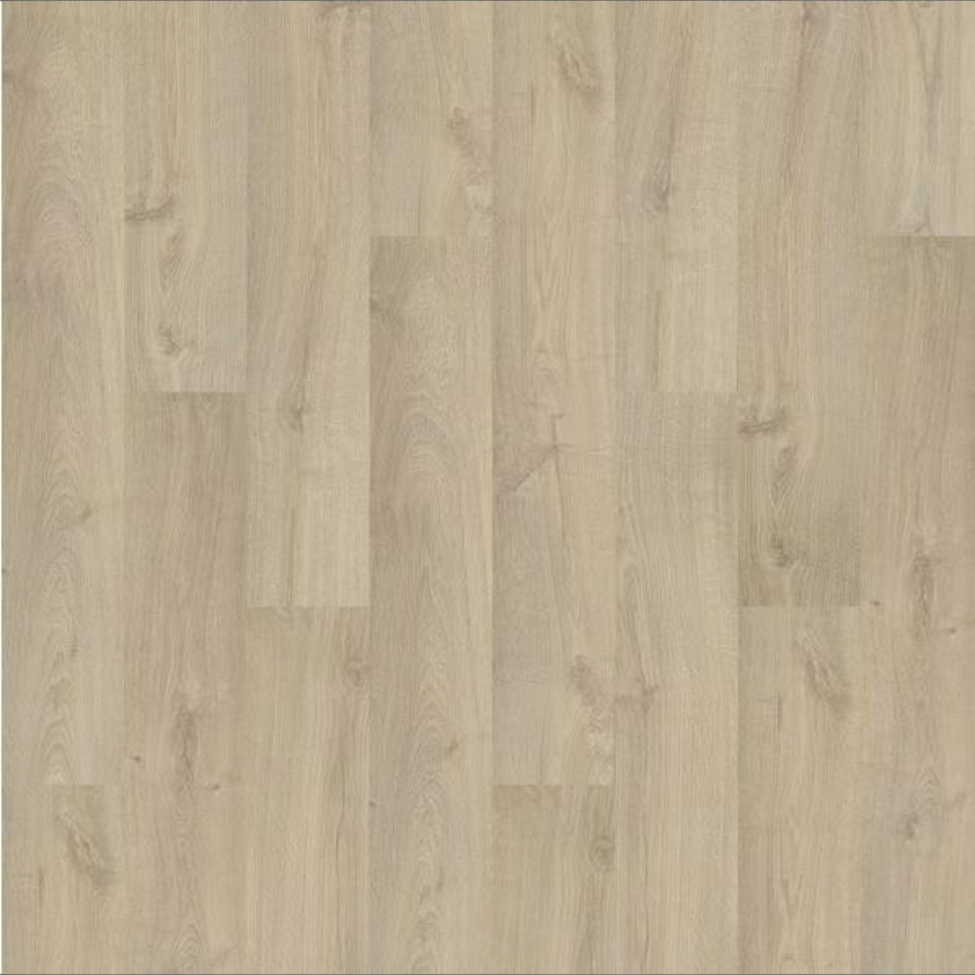 Blanched Oak Hybrid Resilient