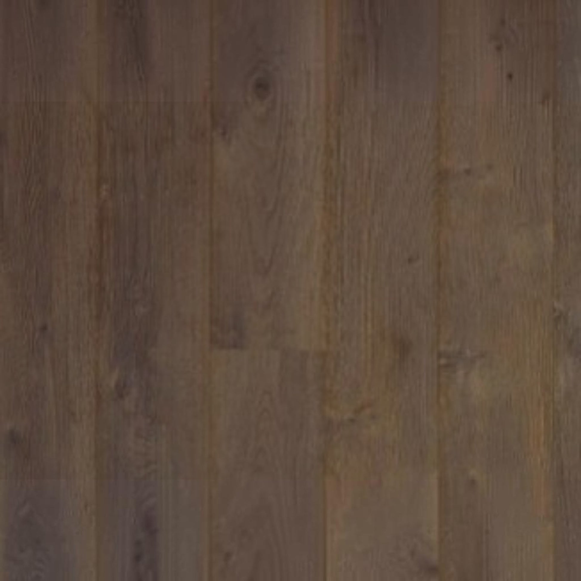 GDM Habitat for Humanity ReStore Grizzly Oak laminate flooring with a dark brown wood grain texture.