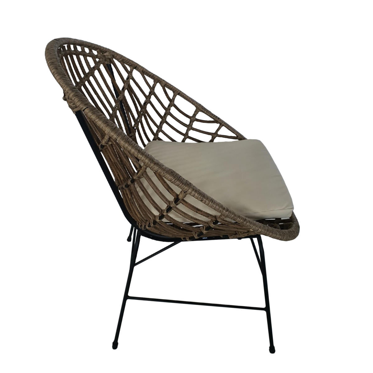 Metal/Wicker Outdoor Chairs 2p